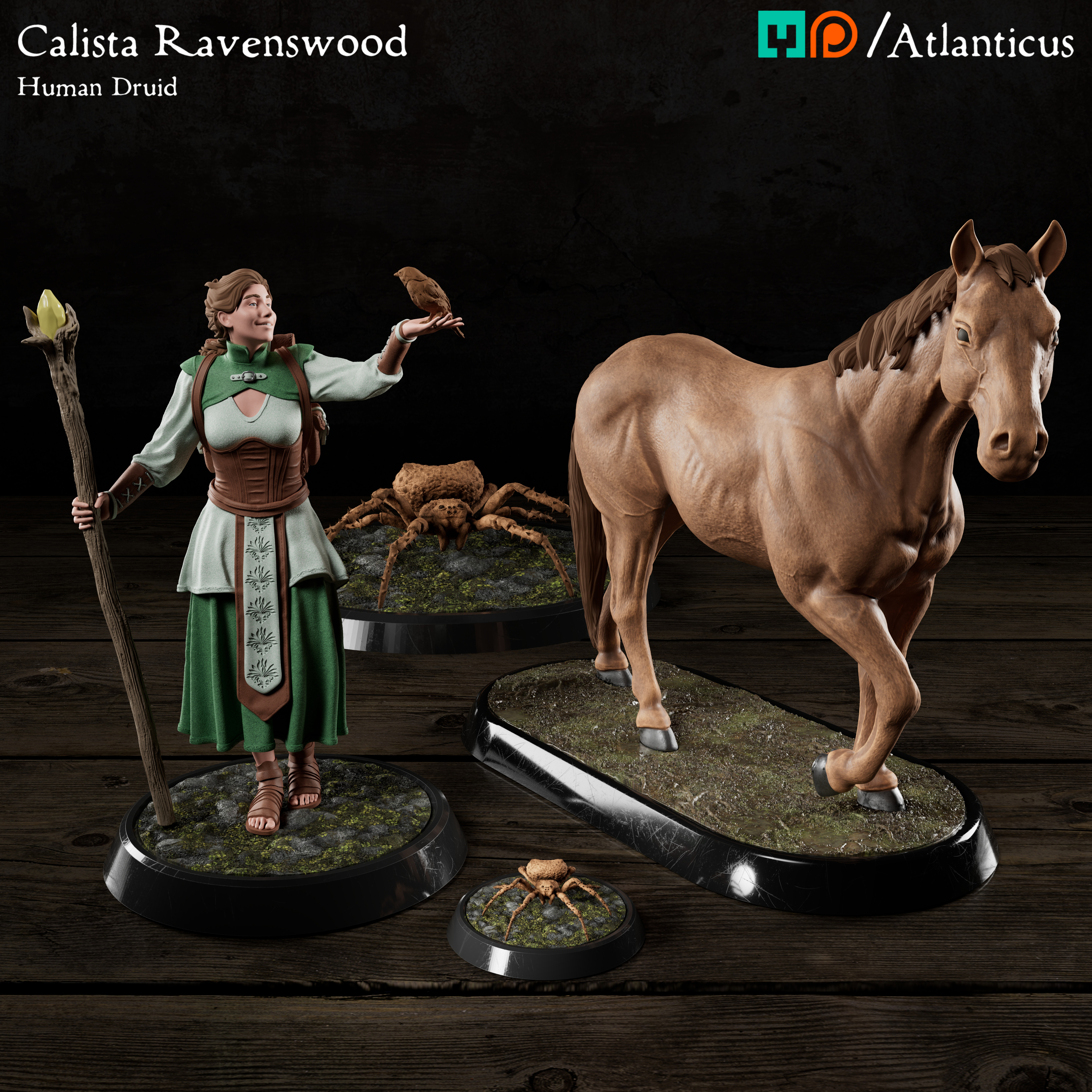 Female Human Druid - Calista Ravenswood - BUNDLE